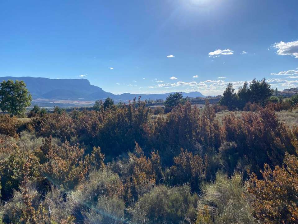 terreno en venta en jaca